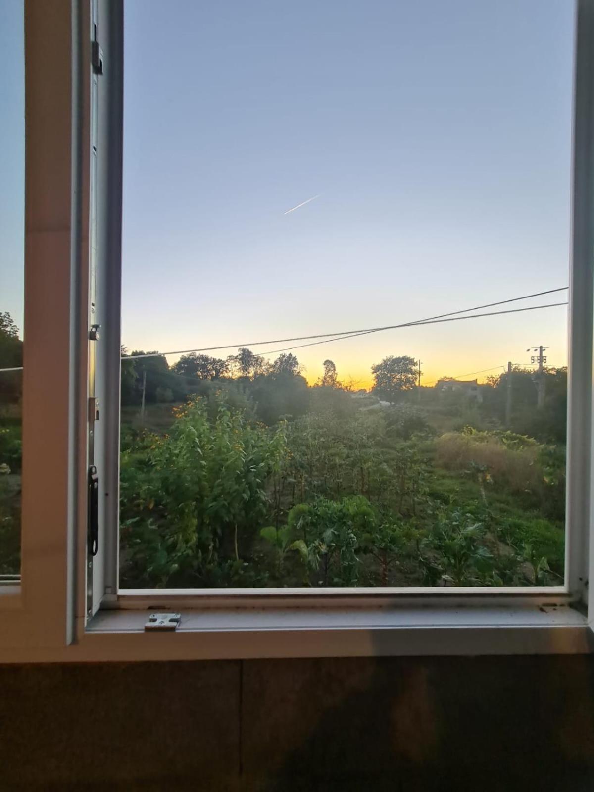 Apartamento T2 Zona Rural Вила Нова де Пайва Екстериор снимка