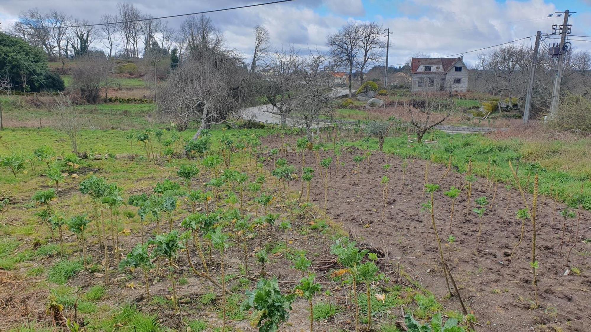 Apartamento T2 Zona Rural Вила Нова де Пайва Екстериор снимка